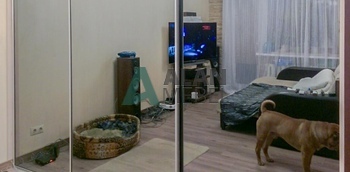 Шкаф-купе в однокомнатную квартиру