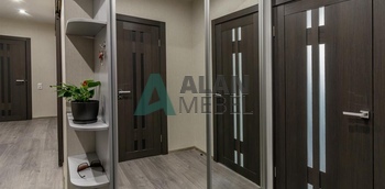 Шкаф-купе в прихожую