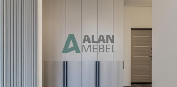 Встроенный шкаф в прихожую 35