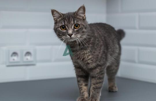 Кухня в стиле минимализм 1 