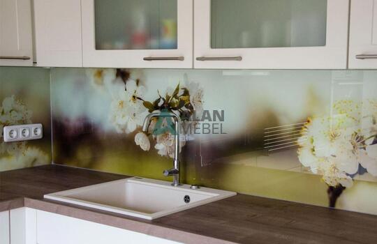 Кухня с фотопечатью 5 