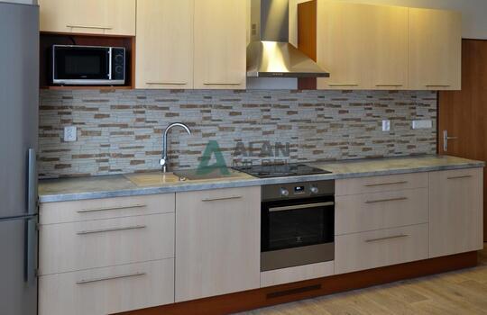 Кухня из древесно стружечной плиты, заказать кухню из ДСП, фото кухни, цена в Минске, доставка 