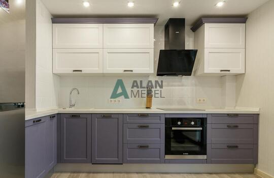 Крашенная кухня – модель 20 